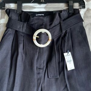 Express Pleated Dress Pants